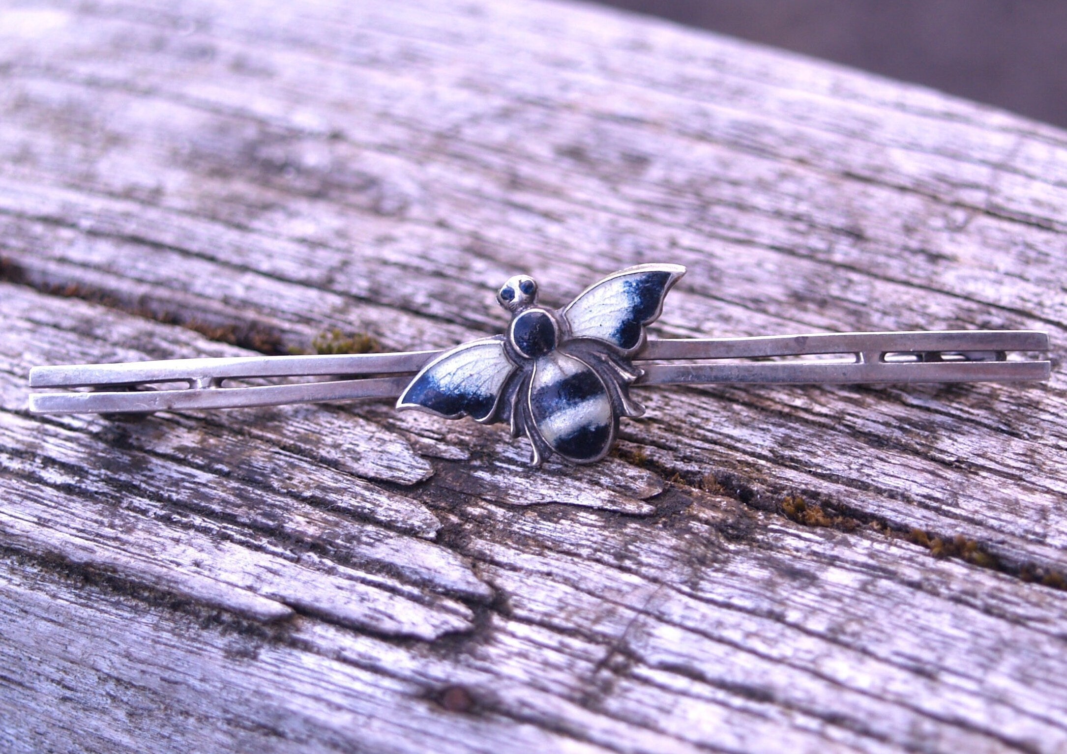 Antique Sterling Silver & Enamel Bug Brooch.