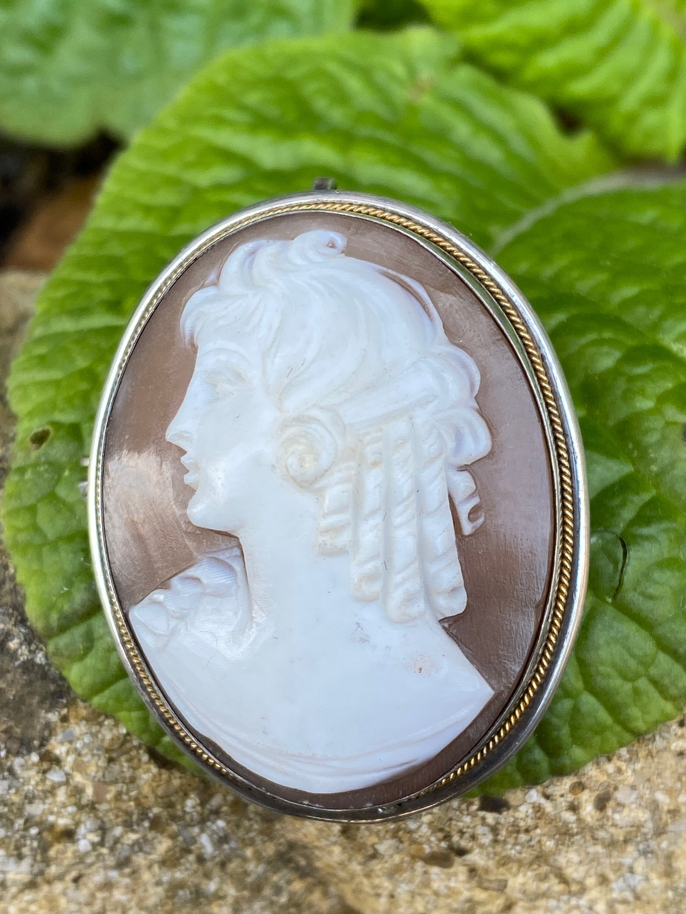 Silver & Gold Cameo Vintage Brooch and Pendant.