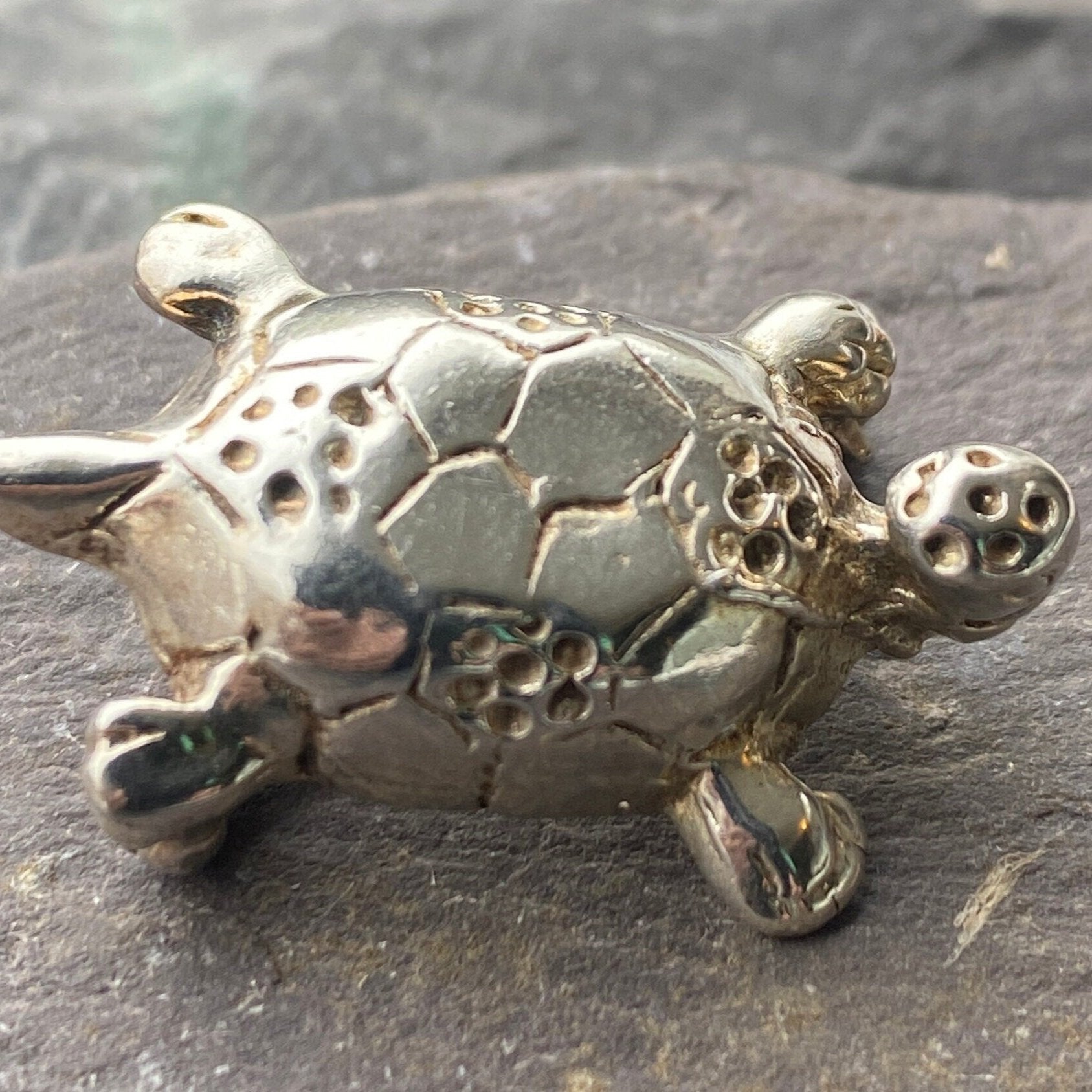 Silver Tortoise or Turtle Brooch